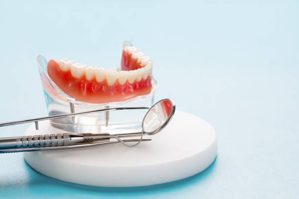 Reliable Westville, IL Holistic Dental Care Services Solutions